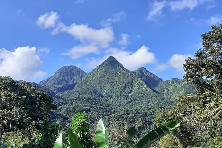 North Martinique Half-Day Nature and Panorama Tour: Mont Pelée, Waterfalls & Rum photo 4