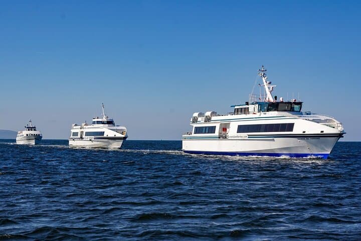 Sail to Inis Mór and Cruise the Cliffs of Moher: Day Trip from Galway photo 3