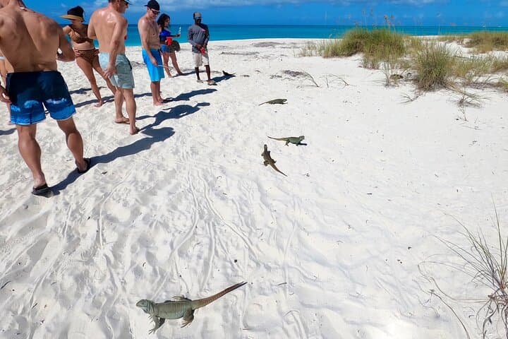 Private Power Catamaran Snorkel & Sandbar Tour — Providenciales photo 3