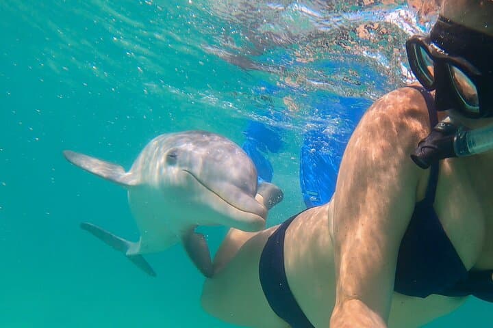 Private Power Catamaran Snorkel & Sandbar Tour — Providenciales photo 4