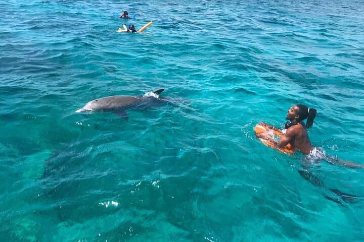 Private Power Catamaran Snorkel & Sandbar Tour — Providenciales photo 6