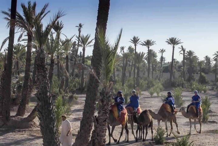 Sunset Camel Ride in Marrakech Palm Grove photo 3