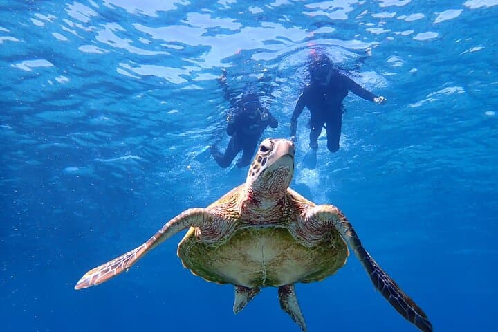 Miyakojima Half-Day SUP or Canoe with Sea Turtle Snorkeling photo 5