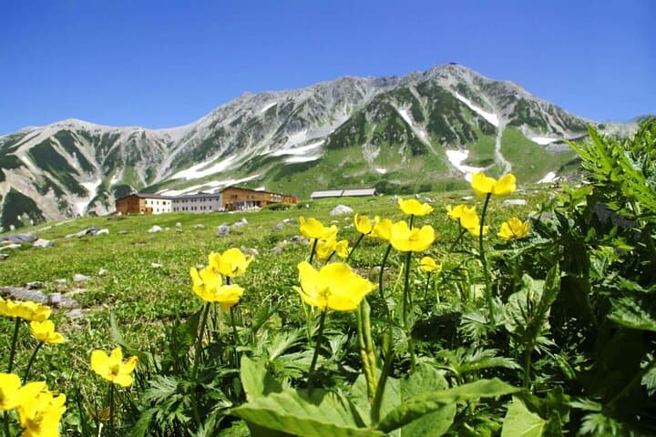 Tateyama-Kurobe Alpine Route: One-Day Guided Walk to the 'Roof of Japan'