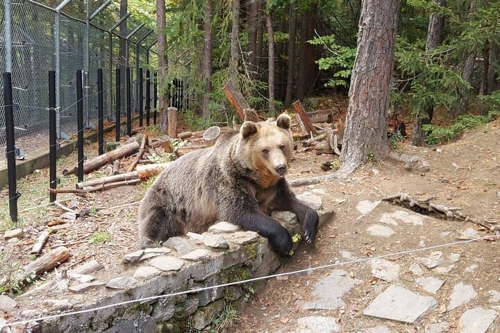 Rila Mountains Road Trip from Sofia – GPS-Guided Self-Drive Adventure photo 4