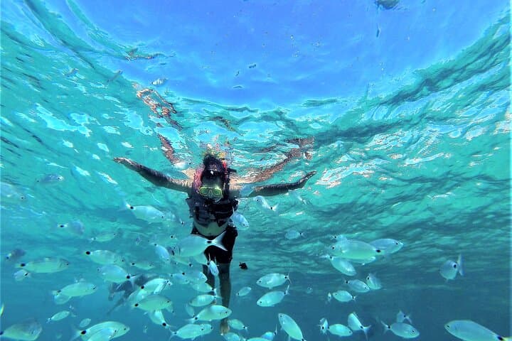 Ibiza Speed Boat Snorkel & Cave Tour — Cala Bassa to Cala Conta
