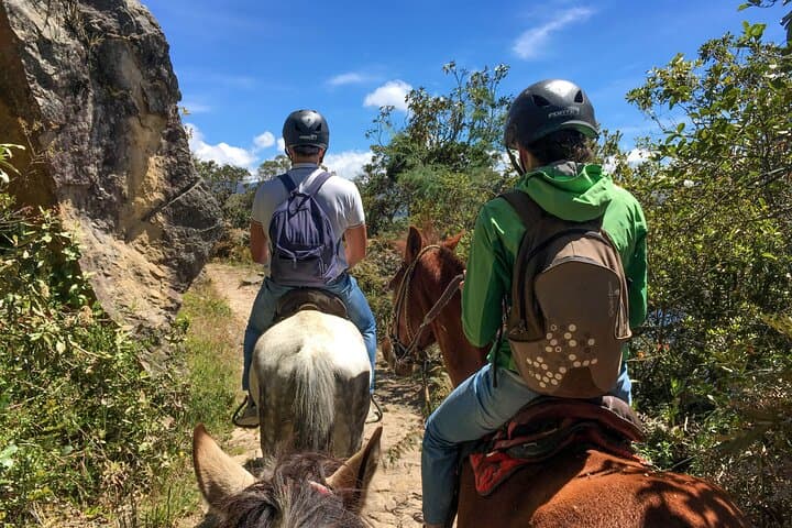 Half-Day Horseback Ride into the Andes Near La Calera
