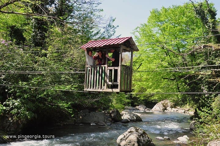 Hike Mtirala National Park from Batumi — Private Chestnut Trail Tour photo 5