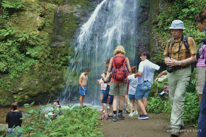 Hike Mtirala National Park from Batumi — Private Chestnut Trail Tour