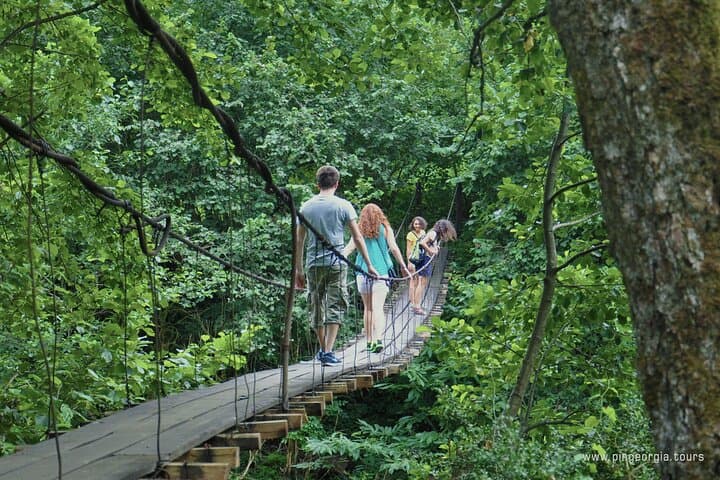 Hike Mtirala National Park from Batumi — Private Chestnut Trail Tour photo 2