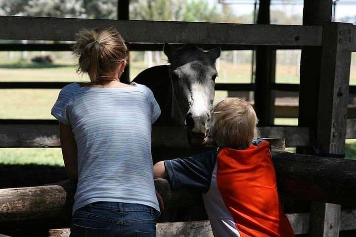 Gaucho Day Tour to Don Silvano Estancia — Traditional Ranch Experience from Buenos Aires photo 3
