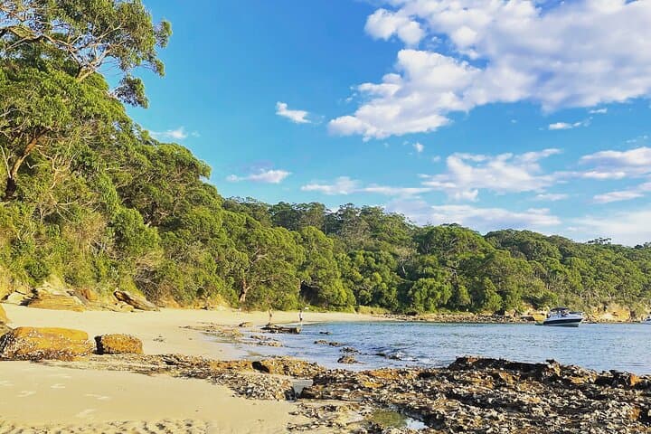 Georges Head & Bradleys Head Guided Walk — Sydney Harbour National Park photo 2