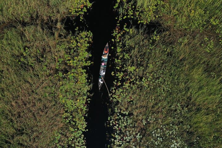 Okavango Delta Mokoro Daytrip: Canoe Through Reeds and Birdlife