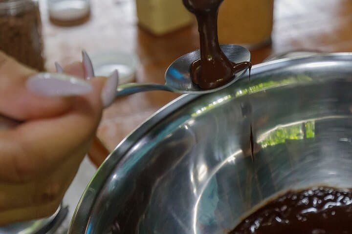 Manuel Antonio Park and Chocolate Tour: Wildlife, Beaches & Cacao Workshop photo 4