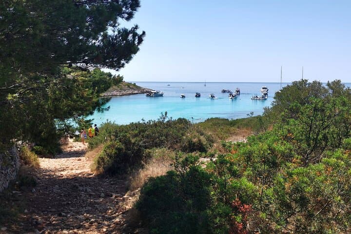 Speedboat to Kornati: Half-Day Private Tour from Zadar photo 6