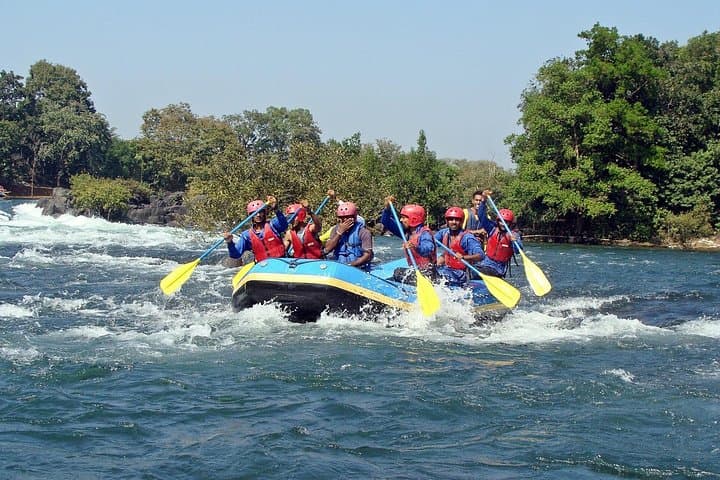 5-Day Uganda Adventure: White-Water Rafting in Jinja and Gorilla Trekking in Mgahinga photo 2