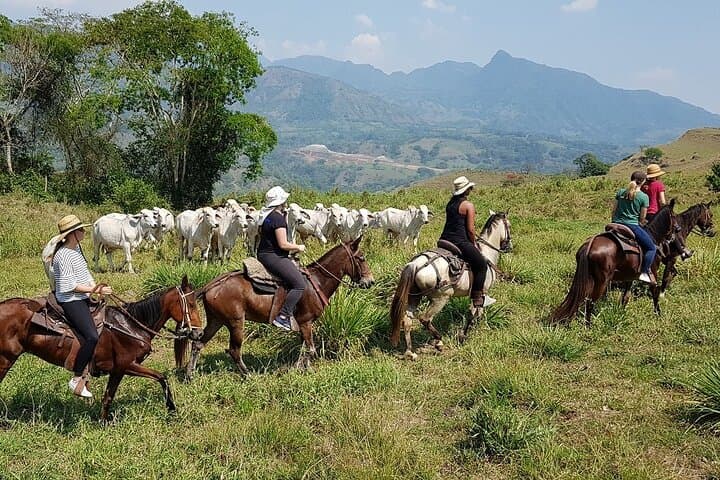 Horseback Riding at Andean Cattle Ranch: Private Day Ride from Medellín photo 2