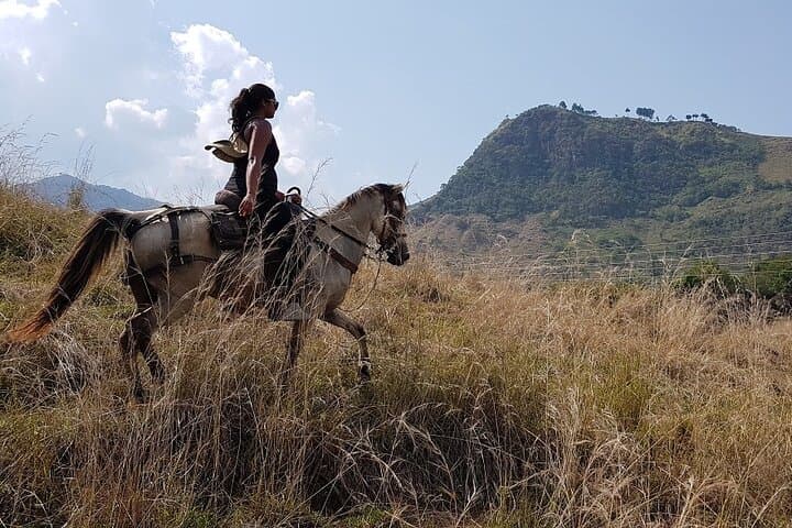 Horseback Riding at Andean Cattle Ranch: Private Day Ride from Medellín photo 3