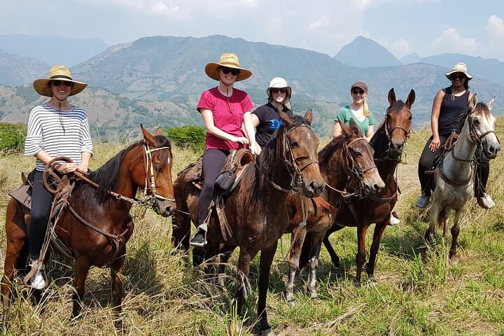 Horseback Riding at Andean Cattle Ranch: Private Day Ride from Medellín