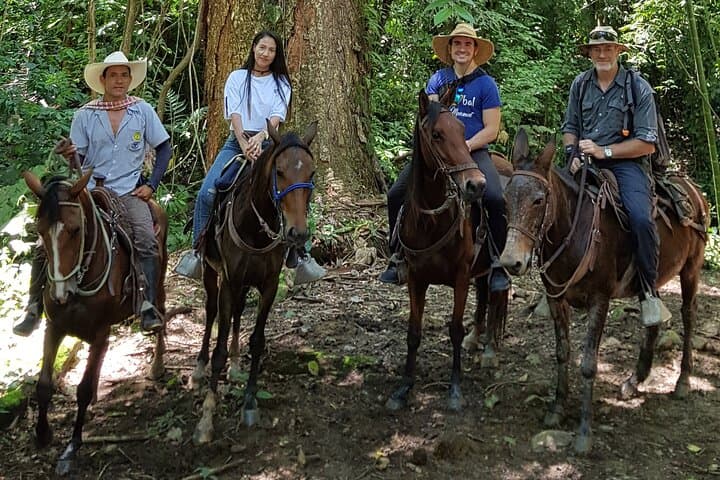Horseback Riding at Andean Cattle Ranch: Private Day Ride from Medellín photo 5