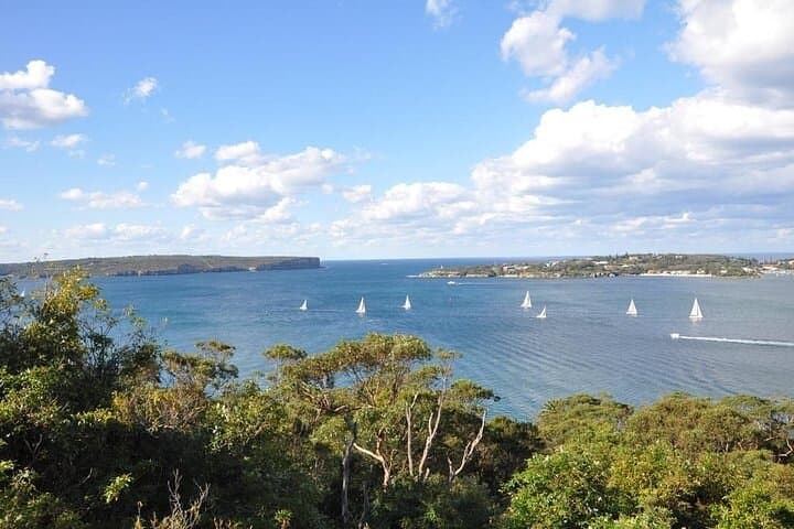 Sydney Half-Day Private Tour: Bondi, Watsons Bay & Harbour Highlights photo 6