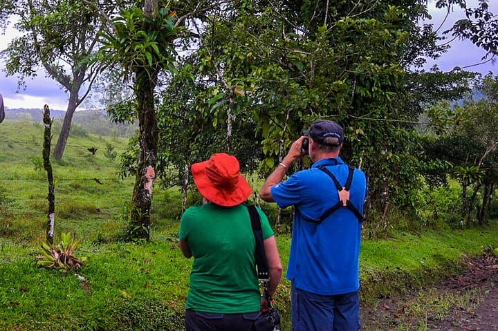 Birdwatching Walk from La Fortuna: Guided Morning Tour by Arenal photo 1