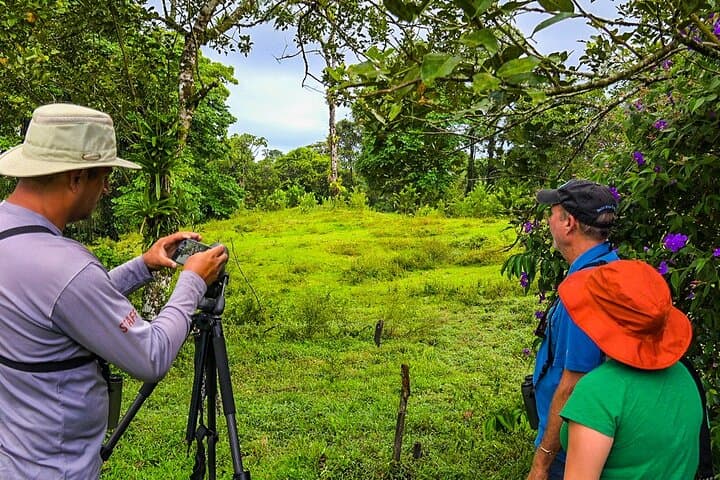 Birdwatching Walk from La Fortuna: Guided Morning Tour by Arenal photo 2
