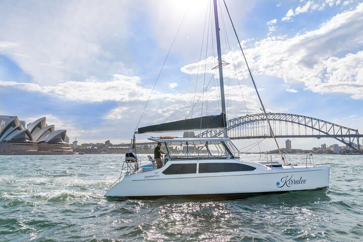 Vivid Sydney Harbour Catamaran Cruise — 90-Minute BYO Lights Experience photo 3