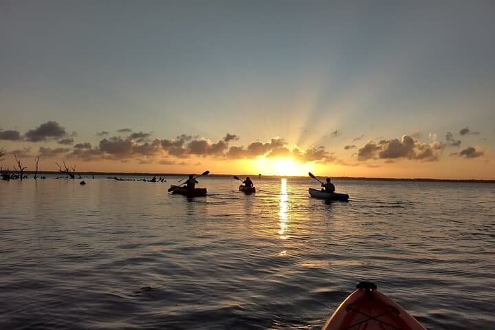 Sunset Kayaking at Manatee Cove (Cocoa Beach): Dolphins & Manatee Sightings