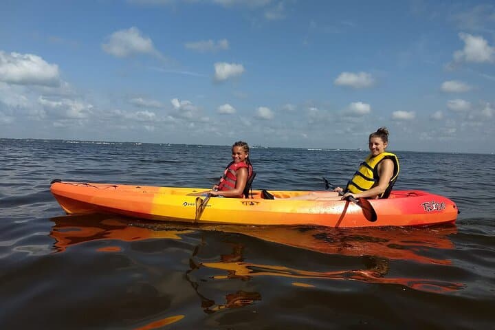 Sunset Kayaking at Manatee Cove (Cocoa Beach): Dolphins & Manatee Sightings photo 3