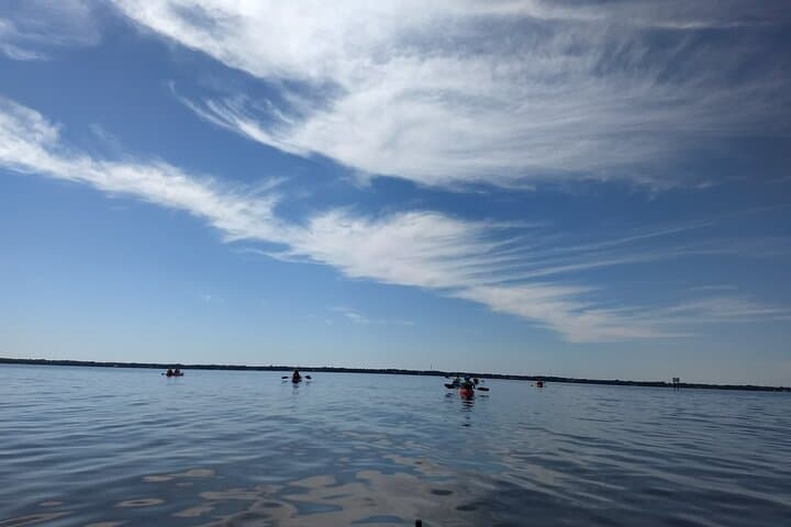 Sunset Kayaking at Manatee Cove (Cocoa Beach): Dolphins & Manatee Sightings photo 6