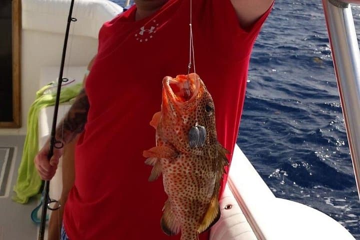 Half-Day Private Bottom Fishing Charter on Shady Grady — Providenciales Reef & Outer Reef photo 5