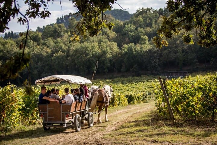 Carriage Tour Through Umbria Vineyards with Organic Wine Tasting