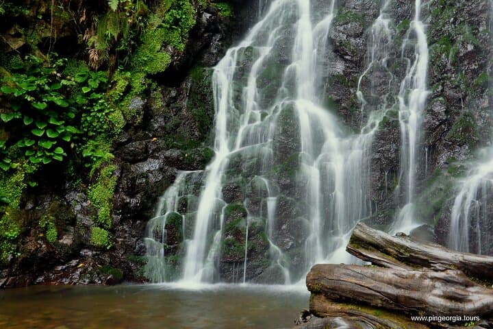 Mountains of Adjara: Private Wine Tour & Waterfalls from Batumi