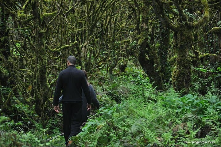 Mountains of Adjara: Private Wine Tour & Waterfalls from Batumi photo 3