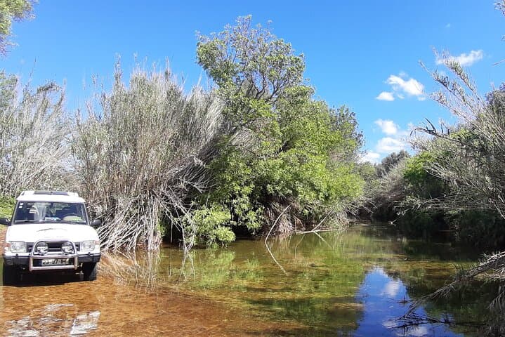 Barrocal Adventure: Half-Day Cork Oak & Village Tour from Albufeira photo 5