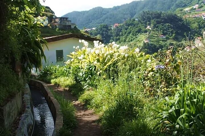 Mimosa Valley Levada Walk: Easy 4‑Hour Hike Above Machico, Madeira photo 2
