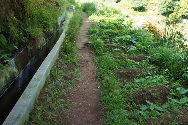 Mimosa Valley Levada Walk: Easy 4‑Hour Hike Above Machico, Madeira photo 3