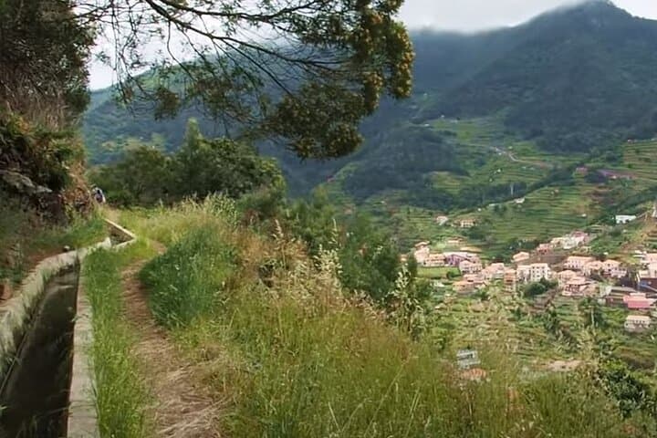 Mimosa Valley Levada Walk: Easy 4‑Hour Hike Above Machico, Madeira photo 4