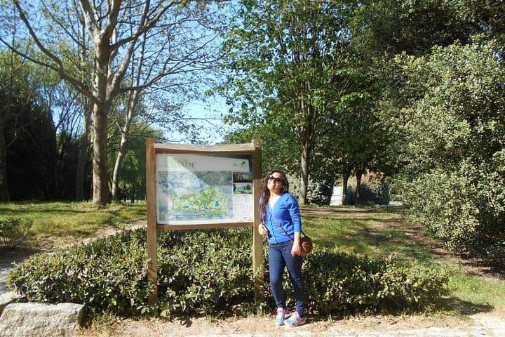 Porto Walking Tour: 4-Hour Historic Center & Port Wine Cellars photo 5