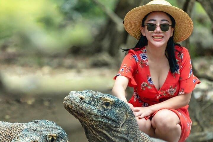 Speed-Boat Komodo Archipelago: Padar, Komodo, Pink Beach & Manta Day Trip