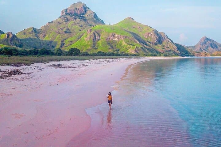 Speed-Boat Komodo Archipelago: Padar, Komodo, Pink Beach & Manta Day Trip photo 3