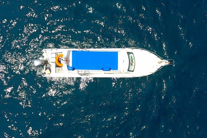 Speed-Boat Komodo Archipelago: Padar, Komodo, Pink Beach & Manta Day Trip photo 5