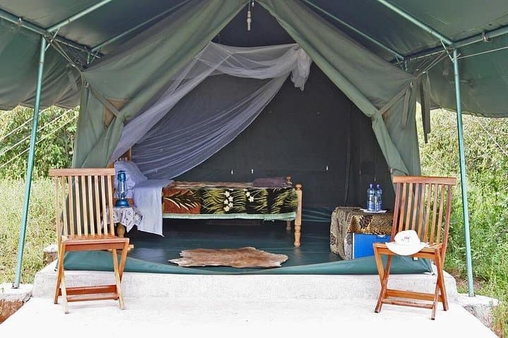 3-Day Maasai Mara Safari from Nairobi — Budget & Luxury Options photo 3