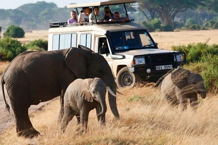 3-Day Maasai Mara Safari from Nairobi — Budget & Luxury Options photo 2