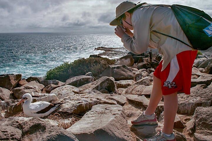 Full-Day North Seymour & Las Bachas: Galápagos Wildlife Cruise from Puerto Ayora