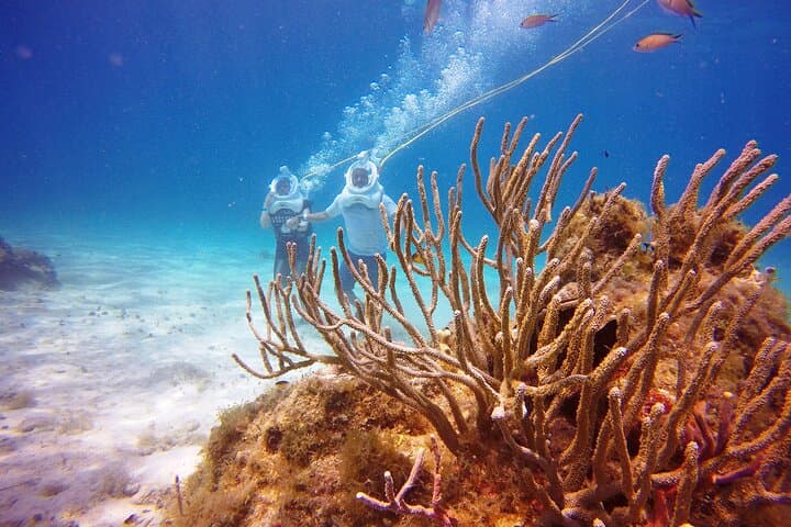Sea Trek at Chankanaab: Walk Underwater in Cozumel's Marine Park photo 2