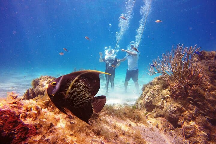 Sea Trek at Chankanaab: Walk Underwater in Cozumel's Marine Park photo 3