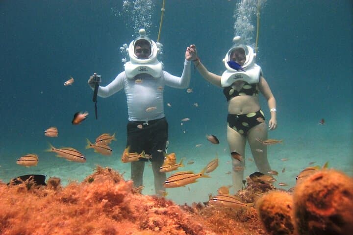 Sea Trek at Chankanaab: Walk Underwater in Cozumel's Marine Park photo 4
