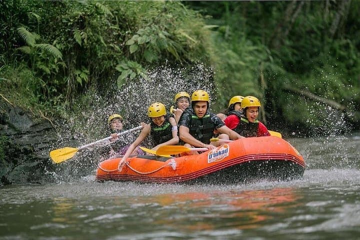 Ayung River Rafting and Ubud Day Tour — 2-Hour Rafting with Monkey Forest & Batuan Temple